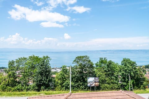 Spring, Day, Natural landscape, Garden view, Lake view