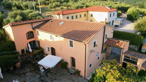 Property building, Day, Bird's eye view