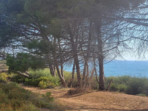 Résidence les jardins de la mer 20230 marine de bravonne Apartment in Linguizzetta