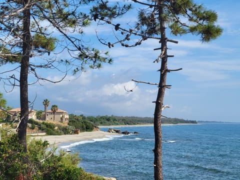 Résidence les jardins de la mer 20230 marine de bravonne Apartment in Linguizzetta