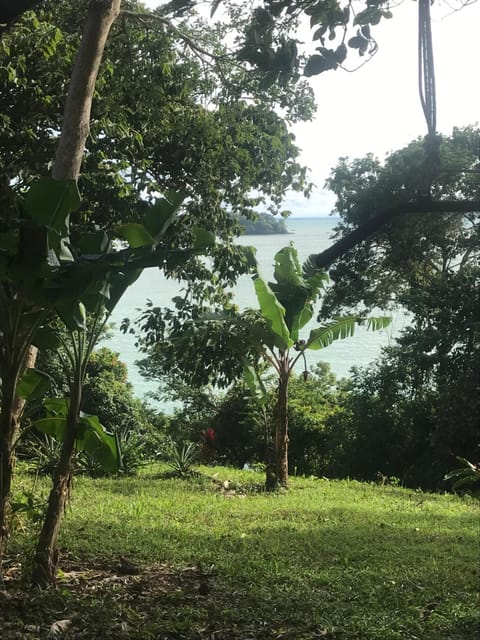 Howlers Bay Cabin and camping Hostel in Chiriquí Province