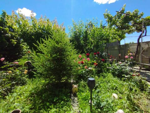 Spring, Day, Garden, Garden view