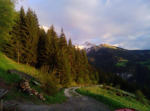 L'oiseau bleu Chalet in Manigod