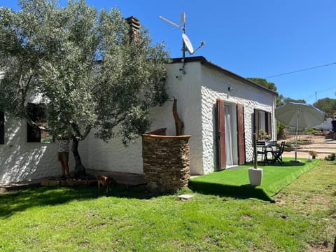 Property building, Garden, Dining area, Garden view