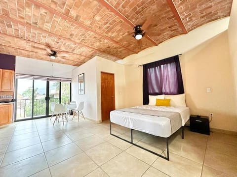 Soothing Studio Suite - Outdoor Salt Water Pool Apartment in Ajijic