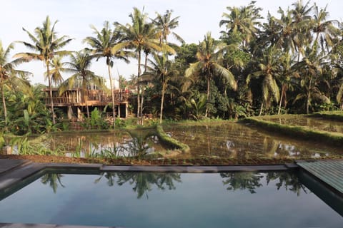 Pool view, Pool view, Swimming pool, Swimming pool