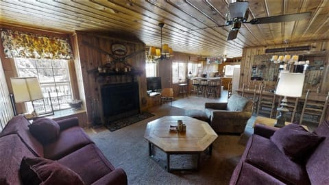 Ski Lope Lodge - Fireplace - Washer - Dryer - Gas Grill House in Red River