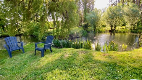 Natural landscape, Garden, Lake view