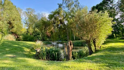 Natural landscape, Garden, Garden view