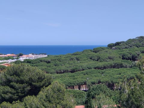 View (from property/room), Sea view