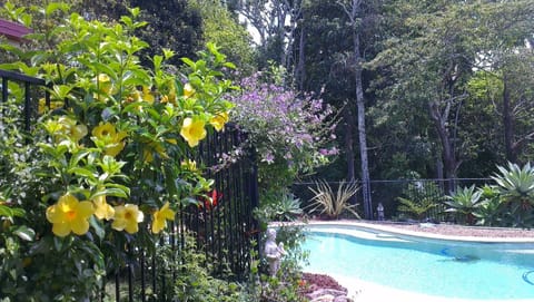 Tropical Coast Retreat - Pet Friendly - Adult only Country House in Tweed Heads