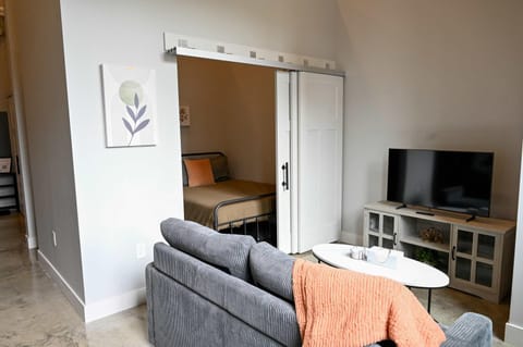 Brand New Urban Loft Free Parking Close To Mayo Apartment in Rochester