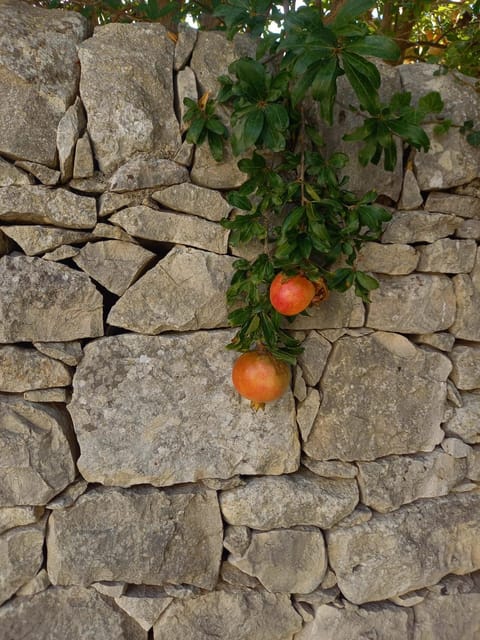 AgriturismoBugilfezza di TGESD Farm Stay in Sicily