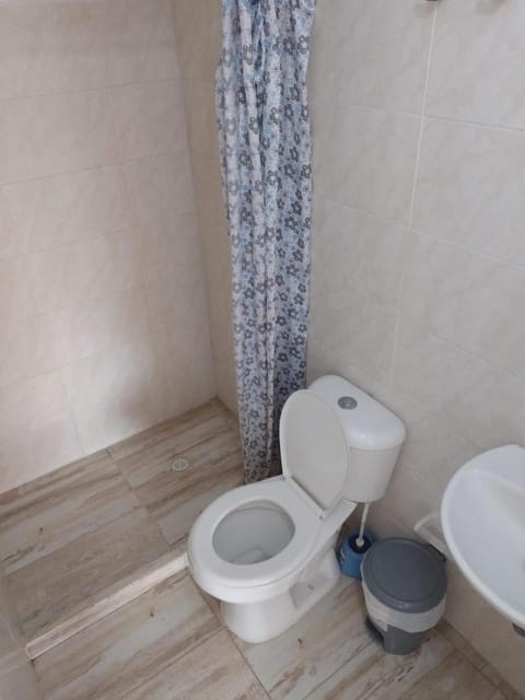 Toilet, Bathroom, bidet