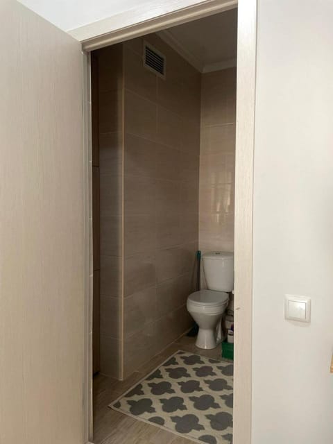 1 комнатная квартира Apartment in Almaty