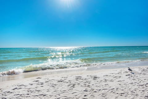 Venus 309- by Holiday Isle Properties Apartment in Okaloosa Island