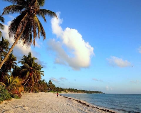 Luxury Villa with Maid Bed and Breakfast in Punta Cana