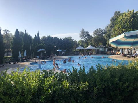 Swimming pool, group of guests