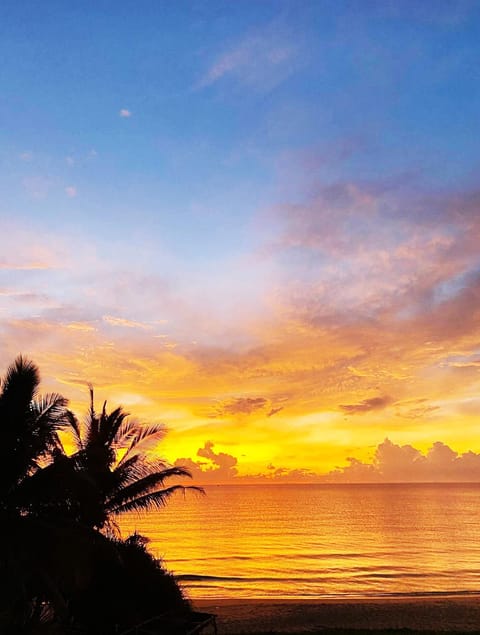 Beach, Sea view, Sunset