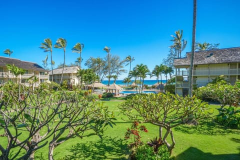 Islander on the Beach 239 Apartment in Waipouli Beach