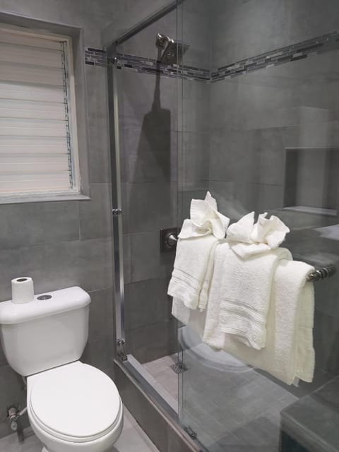 Shower, Toilet, Bathroom, towels