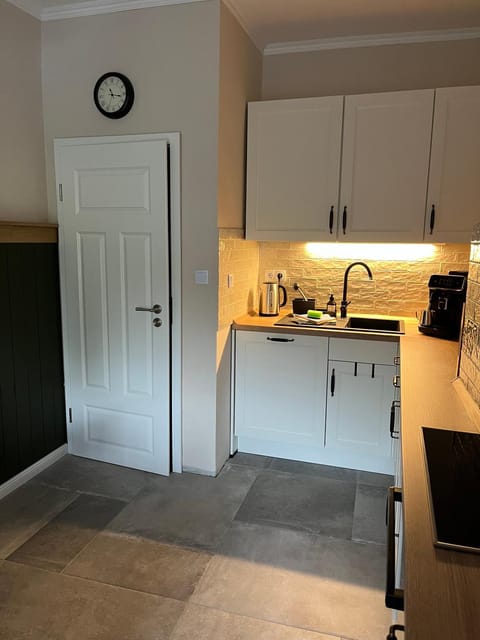 Kitchen or kitchenette, kitchen