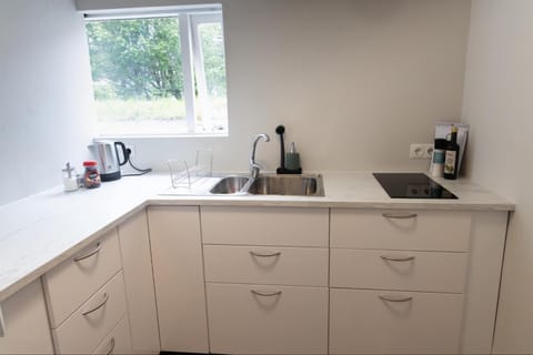 Coffee/tea facilities, Kitchen or kitchenette