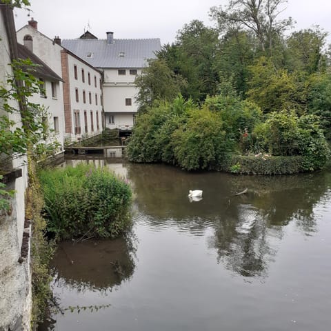 River view