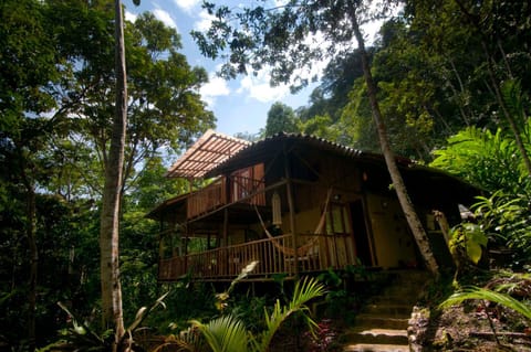 Property building, Balcony/Terrace