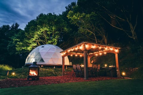 Night, Garden view