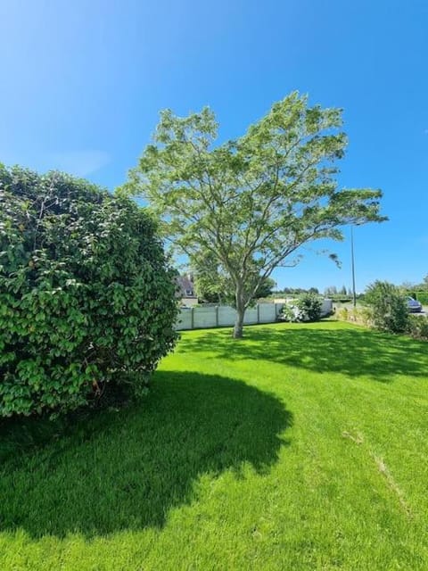 Garden, Garden, Garden view