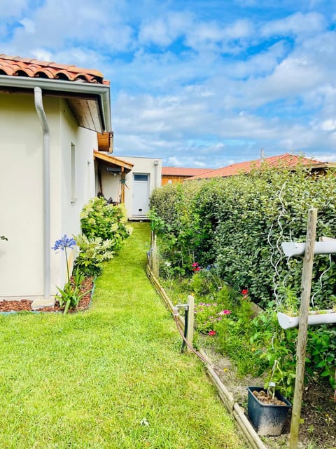 Garden, Garden, Garden view