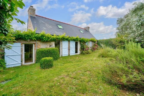 Patio, Garden, Garden view