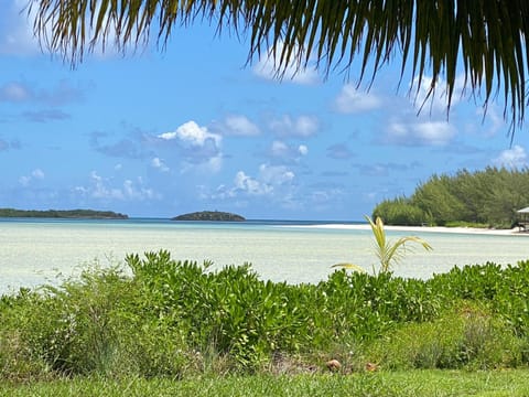 Beach, Sea view