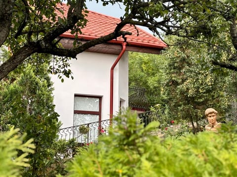 La casa di Oliver House in Timiș County