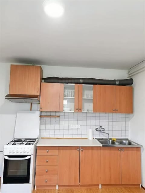 Accessible Apartment For Four Apartment in Ljubljana