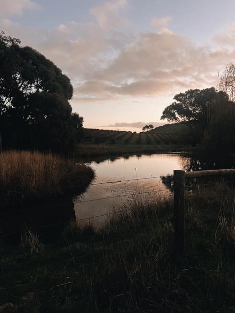 Natural landscape, View (from property/room), Sunset