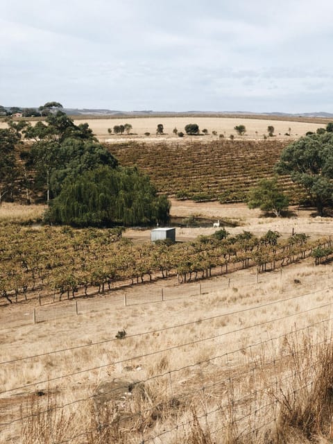 Natural landscape, View (from property/room)