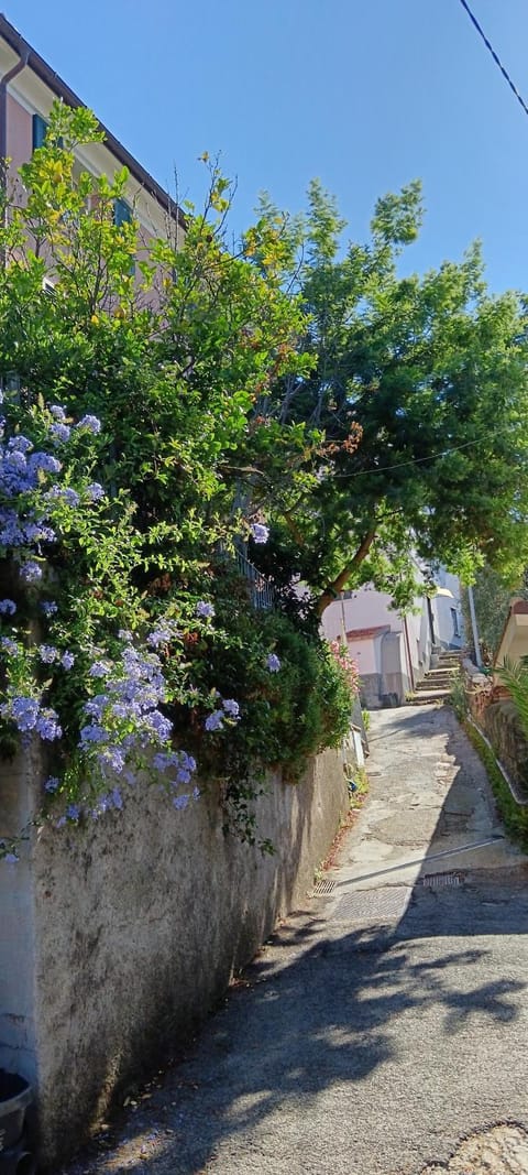 Neighbourhood, Street view