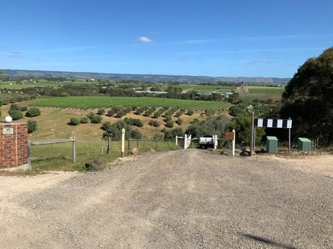 Pedlar Creek Tiny House by Tiny Away House in McLaren Vale