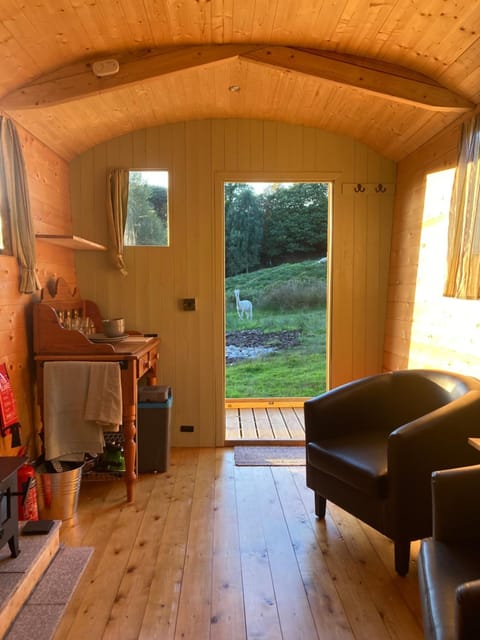 Shepherds Hut on Alpaca and working farm Luxury tent in Trawsfynydd