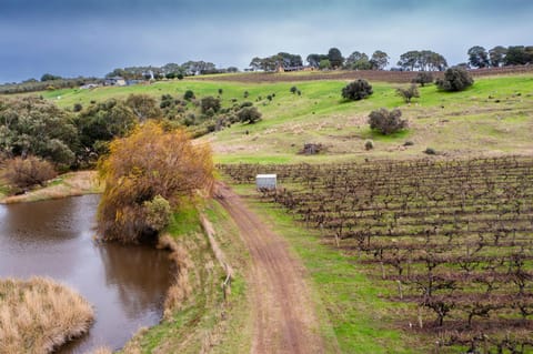 Scrub Tiny House by Tiny Away House in McLaren Vale