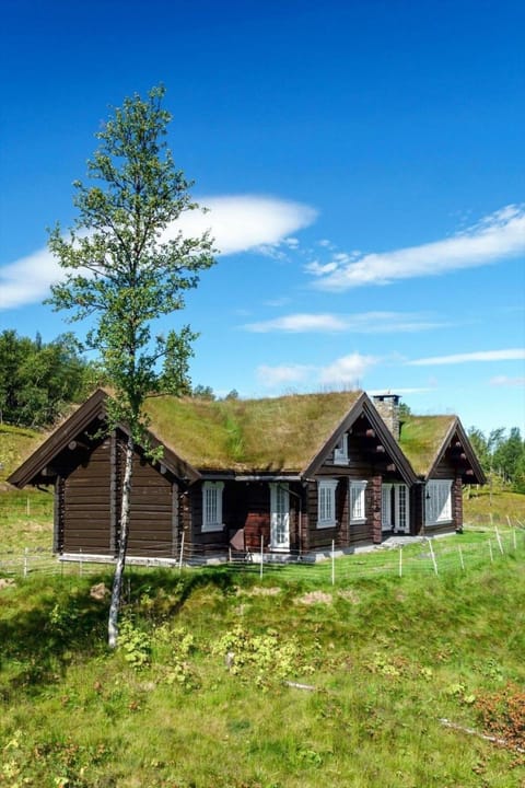 Cozy family cabin with stunning location on Golsfjellet House in Viken, Norway