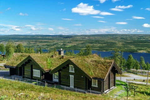 Cozy family cabin with stunning location on Golsfjellet House in Viken, Norway