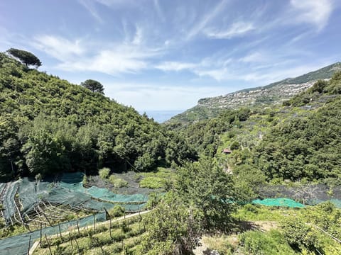 Nearby landmark, Day, Natural landscape, Mountain view