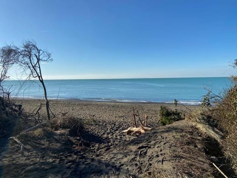 Natural landscape, Beach, Sea view