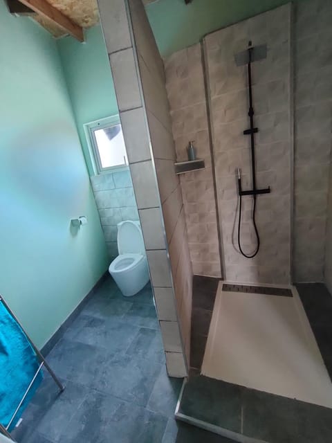 Shower, Toilet