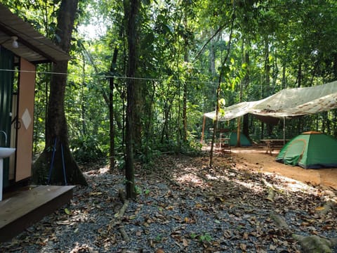 Cool Waters Jungle Camping Luxury tent in Bahía Ballena