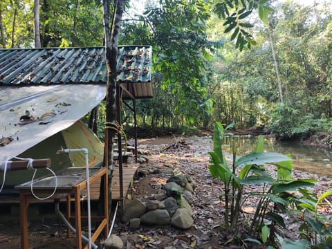 Cool Waters Jungle Camping Luxury tent in Bahía Ballena