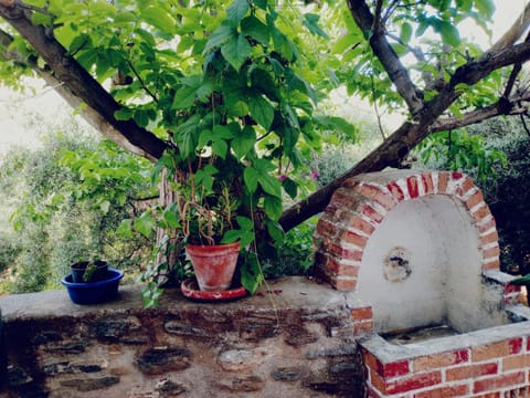 Cortijo Rural Violeta Apartamento in Órgiva